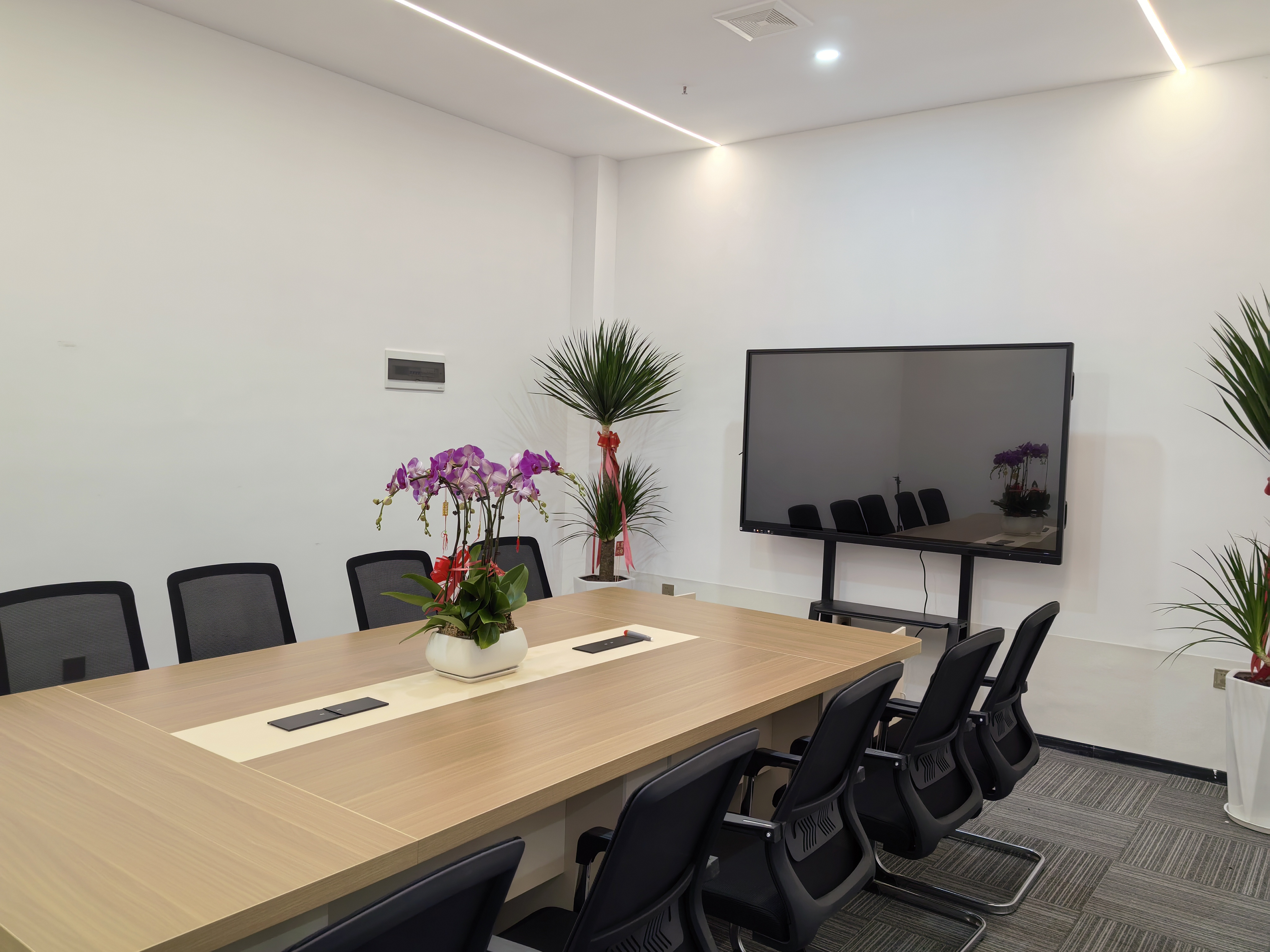 ��������